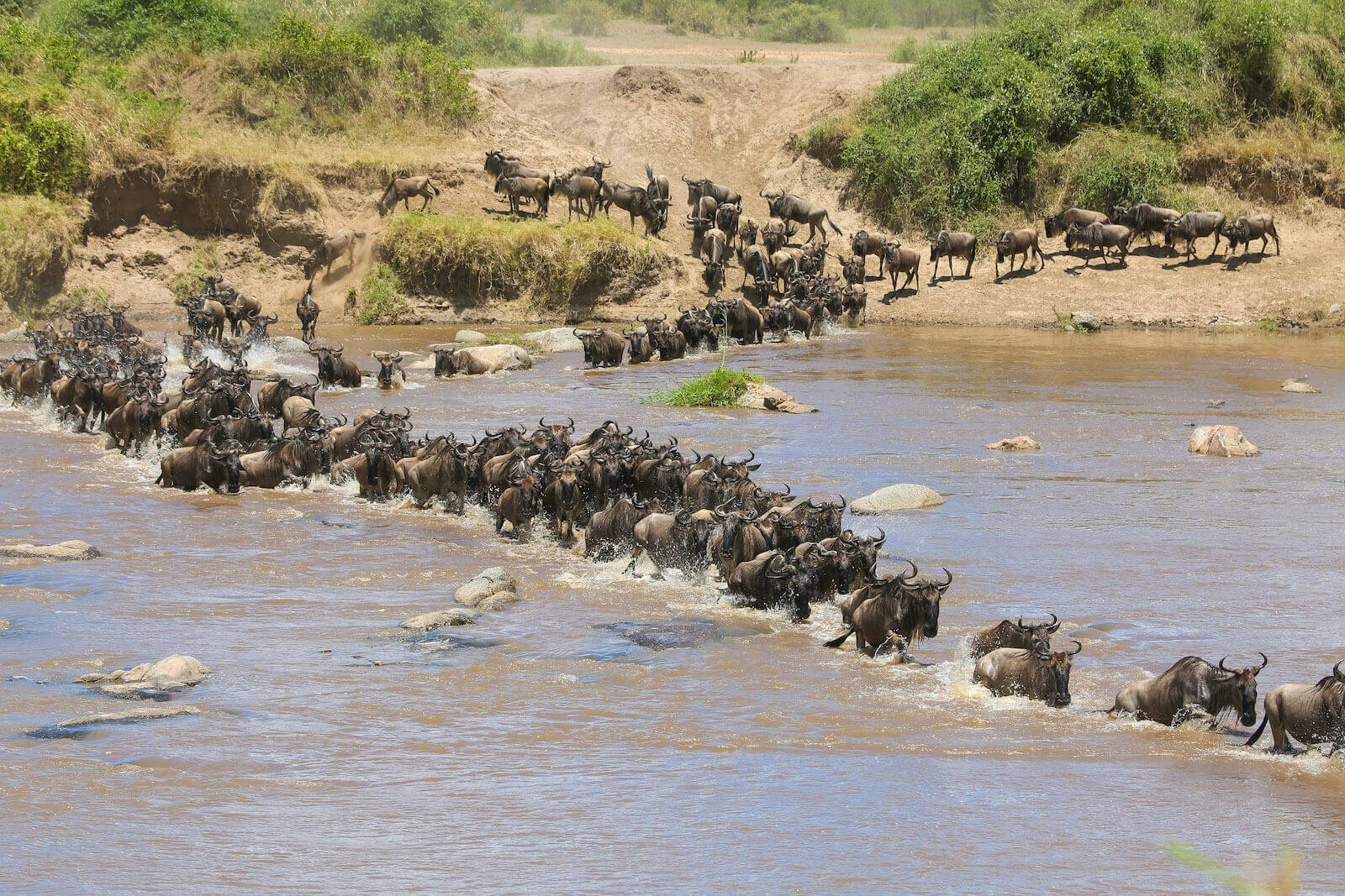 Kiliclimb Africa Safaris
