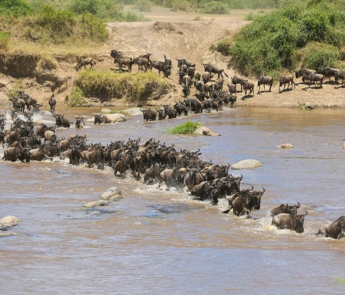 Kiliclimb Africa Safaris