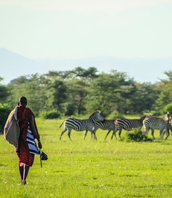Berngo Safaris, LLC