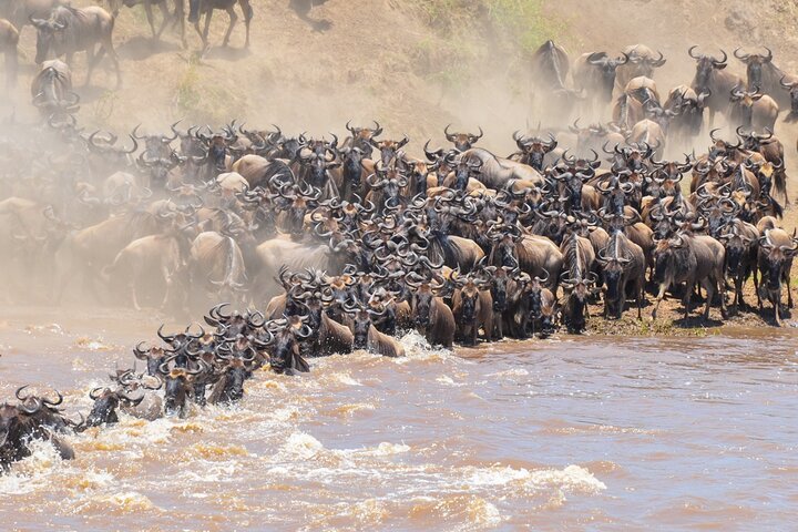Kiliclimb Africa Safaris