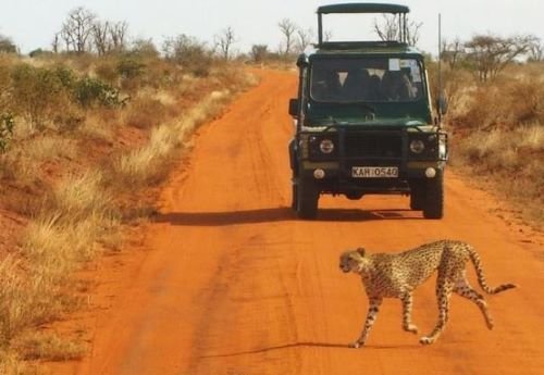 Johnbow Tours and Travel Ltd