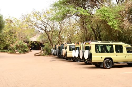Safari Vendors