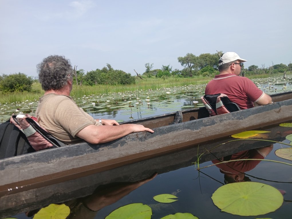 Bush Rover Safaris