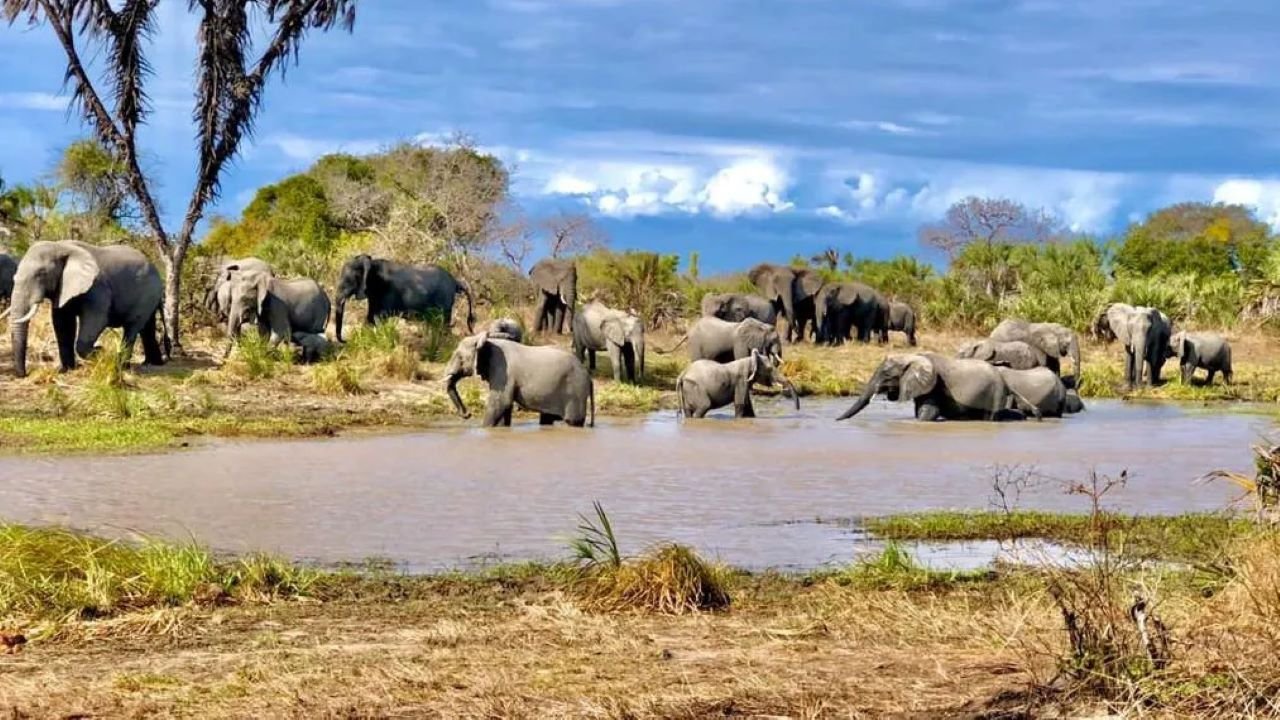 Livan Holidays Tours & Safaris