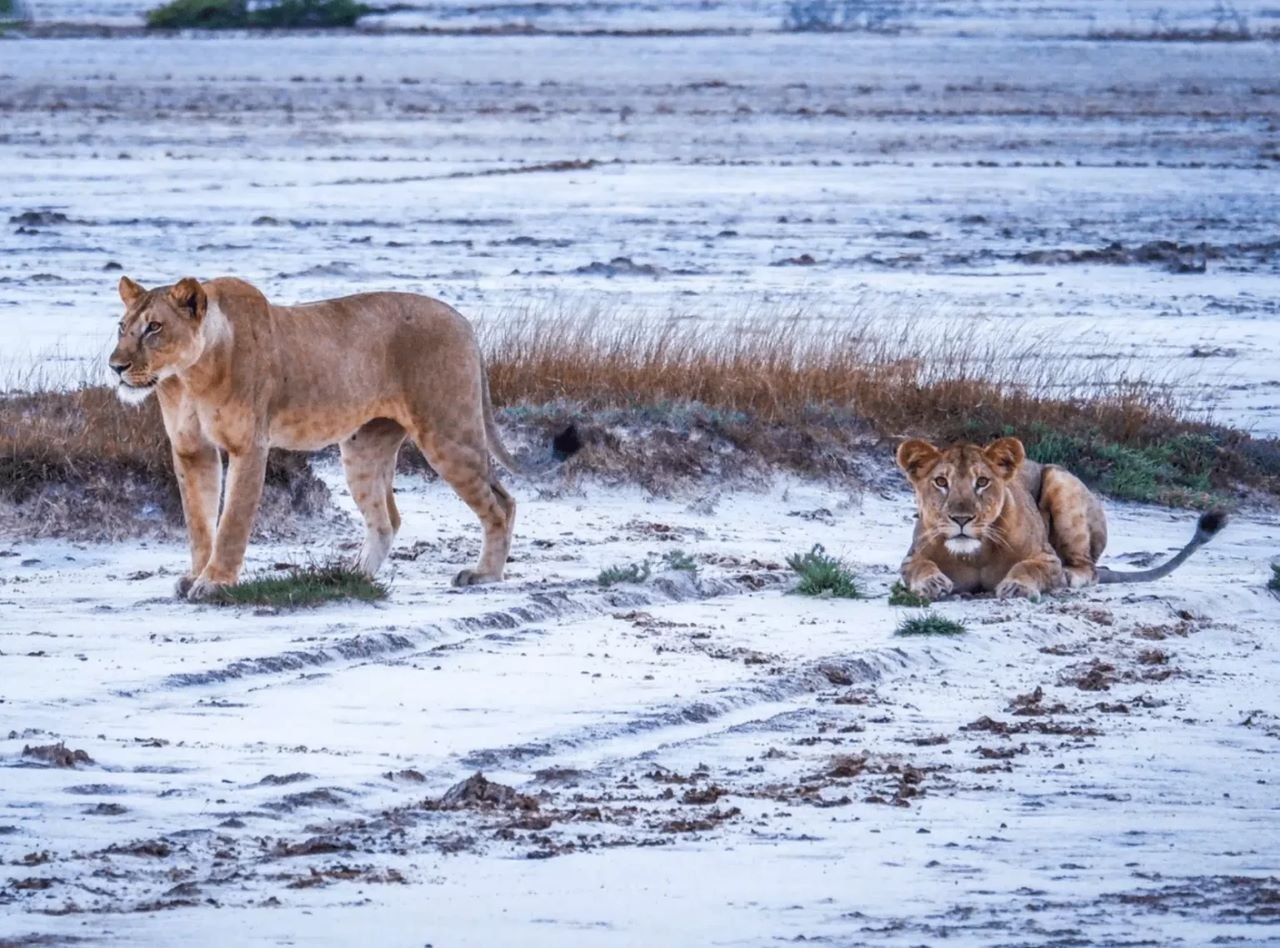 Livan Holidays Tours & Safaris