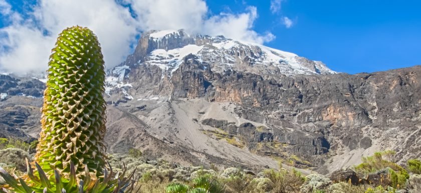 Kiliclimb Africa Safaris