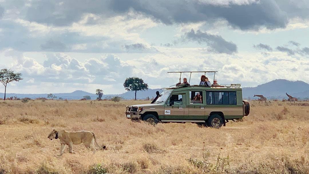 Lui Tours And Safaris