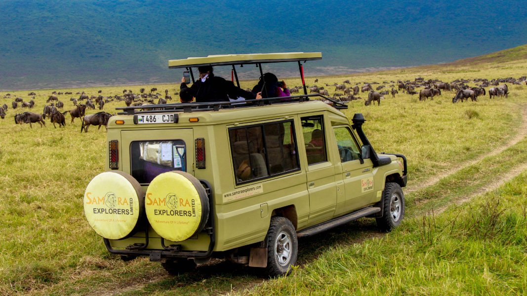 Safari Vendors
