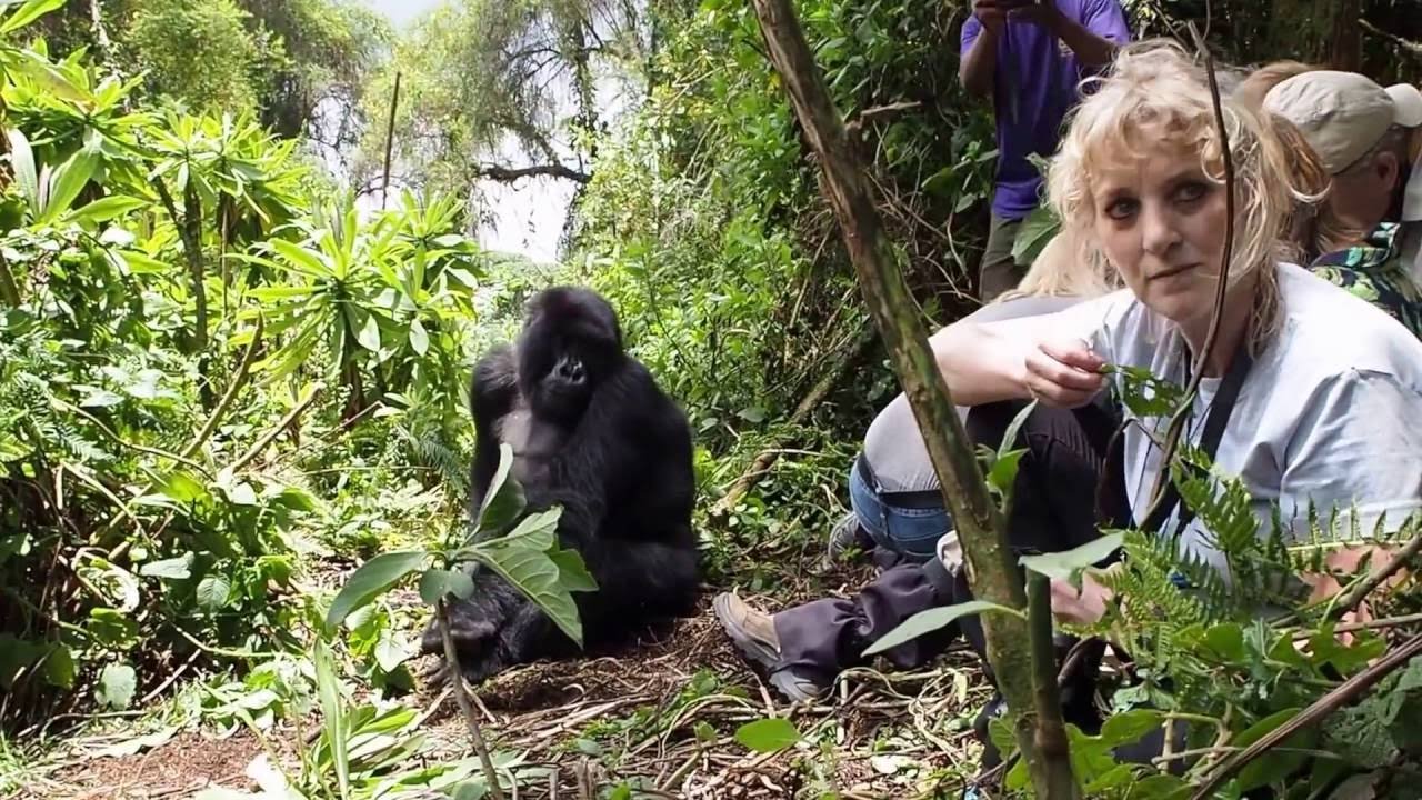 WORLD BLOSSOM SAFARIS Uganda