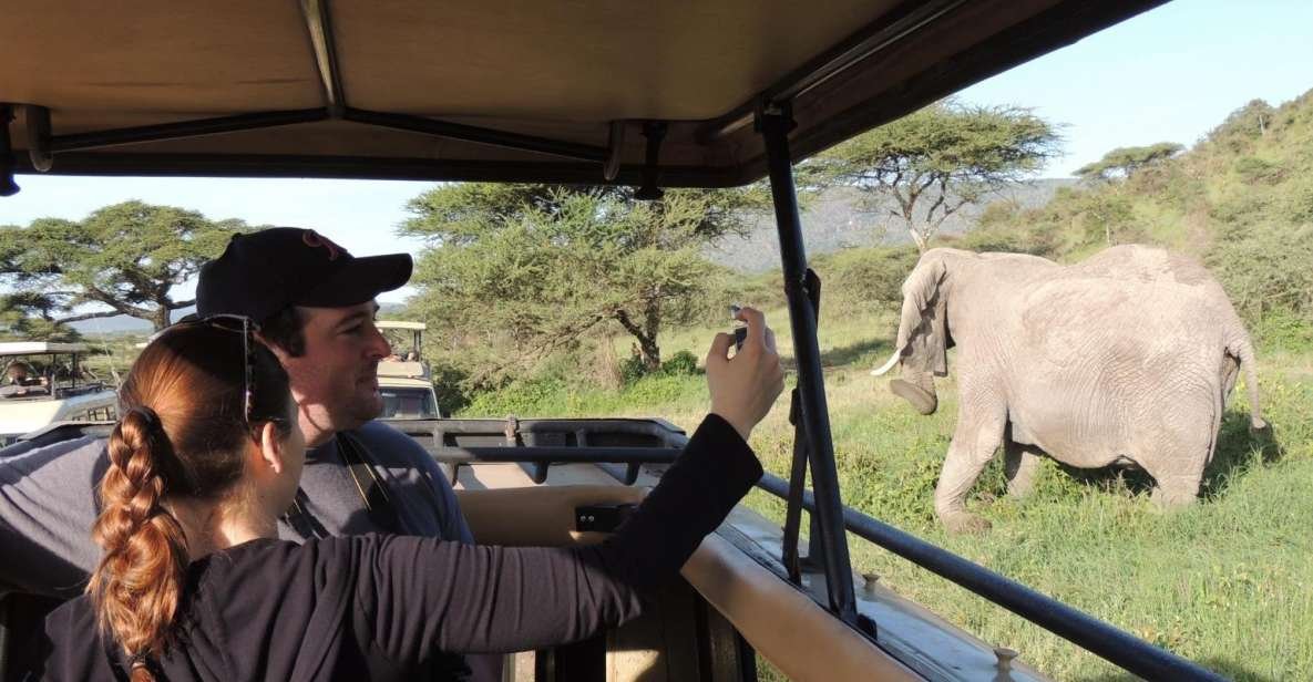 Safari Vendors