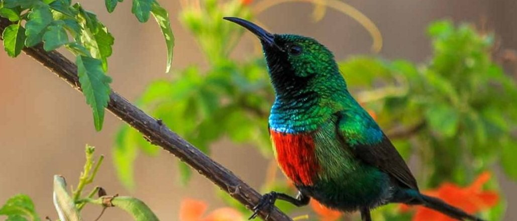 Vowland Ethiopia Tour 