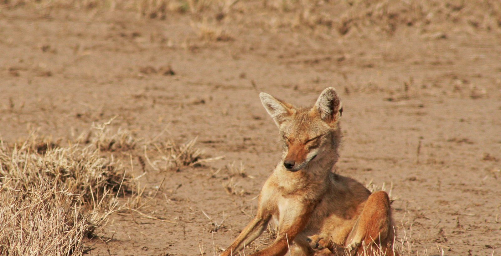 Vowland Ethiopia Tour 