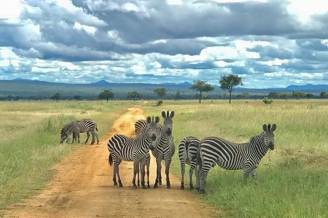 Lui Tours And Safaris