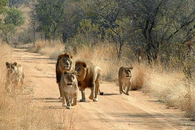 Lui Tours And Safaris